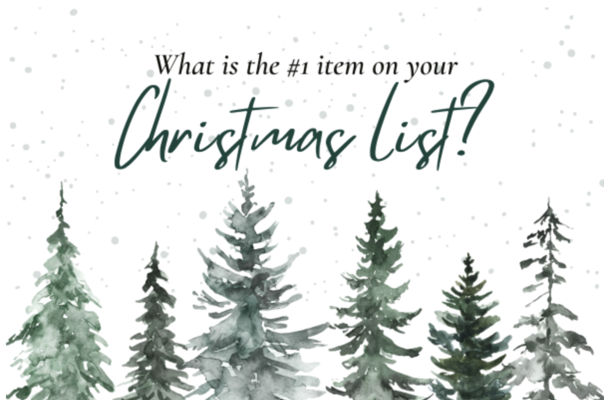 What Is The #1 Item On Your Christmas List?